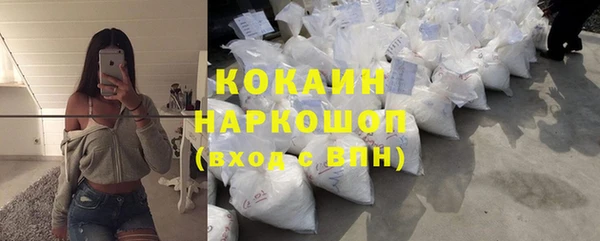 стаф Вязьма