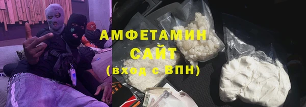 мдпв Вяземский