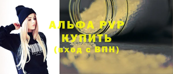 стаф Вязьма