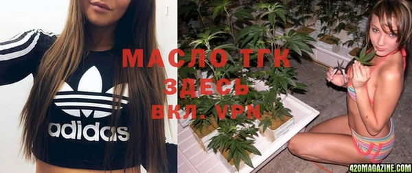 стаф Вязьма