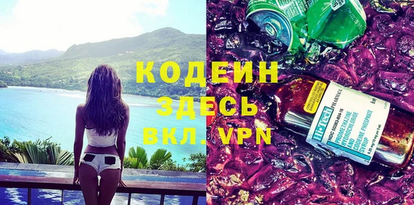 мдпв Вяземский