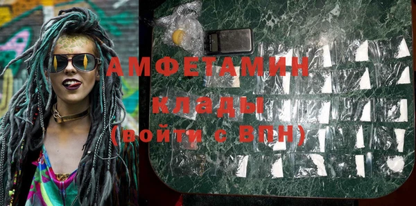 мдпв Вяземский